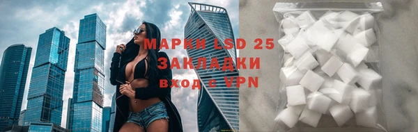 ГАЛЛЮЦИНОГЕННЫЕ ГРИБЫ Кукмор