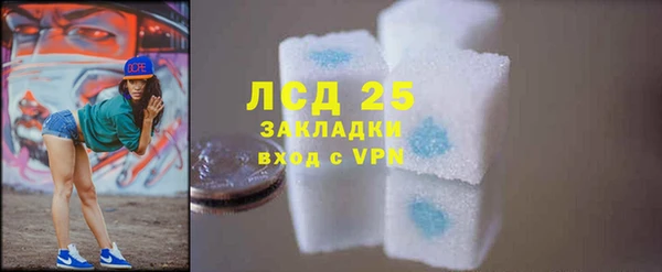 ГАЛЛЮЦИНОГЕННЫЕ ГРИБЫ Кукмор
