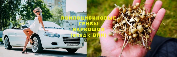 PSILOCYBIN Куйбышев