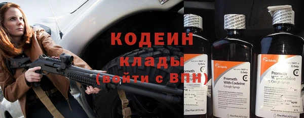 ГАЛЛЮЦИНОГЕННЫЕ ГРИБЫ Кукмор