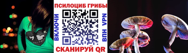 Галлюциногенные грибы GOLDEN TEACHER Купить Семёнов